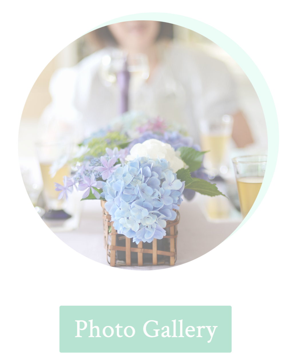 フォトギャラリー